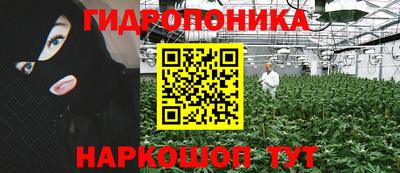 мдпв Гусев