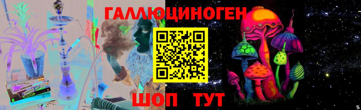 Псилоцибиновые грибы MAGIC MUSHROOMS  Вход с VPN  Соль-Илецк 